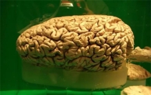 “曼德拉效应”越来越明显，难道人类的记忆被篡改了？