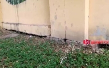 宝清一米五长大蛇街头闲逛男子轻松将其擒获围观群众看呆了