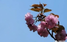 老王的逸闻趣事二||樊瑞楠