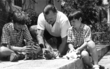 海明威故居惨被霸占  无赖竟是“六趾猫”  它们成了新主人