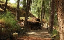 男子为了活得更洒脱，辞掉高薪工作，在山洞里住了二十年