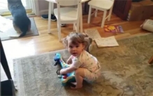 监控意外拍到神奇的一幕  家中小狗和小女孩让人感觉不可思议