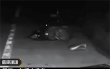 药家鑫被执行死刑 死前才觉得害怕（药家鑫案）