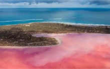 澳大利亚的粉红湖：世界上最浪漫的湖泊  湖水都是玫瑰色