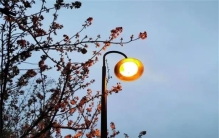 每天晚上城市开的路灯 都是谁来买单（城市电费）