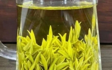 黄茶品牌排行榜前十名，蒙顶黄芽排第一名