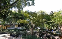 重庆有哪些公园风景好？重庆值得去的六大公园