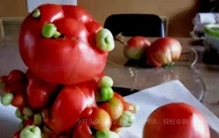 日本福岛已成一座死城，各种奇怪的生物都来了，西红柿有几百个头