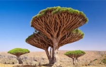 地球上7个最古怪的地方  看起来像光怪陆离的梦幻星球