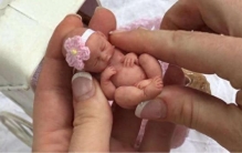 世界上最小的萌娃，五个婴儿都没一手掌大，捧在手里简直太惹人爱