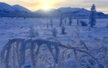 世界上最冷的村子，隐藏着长寿的秘密，人均寿命高达100岁