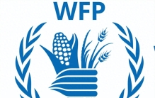 世界十大知名服务组织