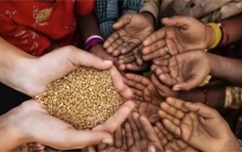 把空气变成粮食！中国科学家遥遥领先，或有望解决粮食危机