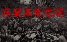 日本人进入南京城 都做了些什么（南京之难）