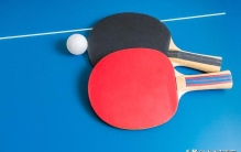 乒乓球场上的最佳拍档：十大公认乒乓球器材品牌