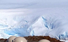 世界上消费最高的十大度假胜地，最贵的要19.5万美元