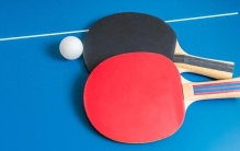 乒乓球场上的最佳拍档：十大公认乒乓球器材品牌 乒乓...