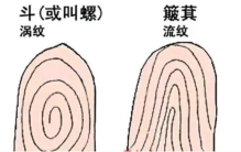 一斗穷二斗富有科学依据吗（没有）