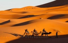 世界上面积最大的沙漠，撒哈拉沙漠面积约为92万平方公里