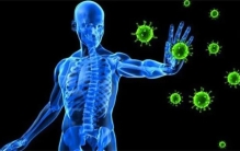 冠状病毒在自然界的天敌是什么动物（蝙蝠）