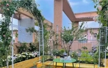 入侵性强的花卉有哪些