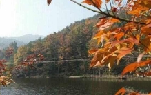 秋天武汉10大最适合游玩的景点，木兰清凉寨居榜首