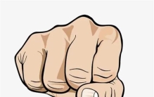 为什么只有人才能握紧拳头呢（拳头是人的武器）