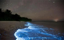 地球上最奇特怪异的10处湖泊是什么（澳大利亚的夜光湖）