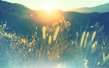 世界最新人囗数量排名，终于有国家超越咱们了