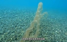 天空之门被打开？飞行列车？9个闻所未闻的离奇画面 #奇闻异事