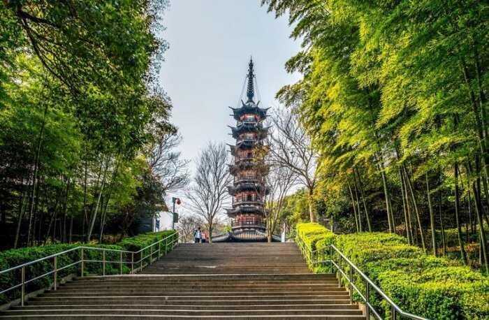 上海著名的六大森林公园，佘山国家森林公园排第一