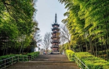 上海著名的六大森林公园，佘山国家森林公园排第一