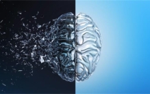 关于人类大脑的9个烧脑的问题有哪些（人的记忆由什么构成）