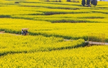 打卡中国10大最美春季旅游地，处处都是美景，有你的家乡吗？