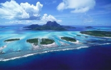 进化论的灵感来源是什么（加拉帕戈斯群岛的植物）