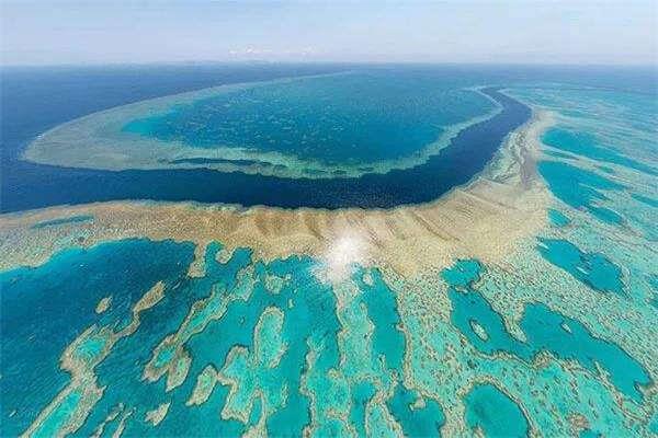 世界上最大的大堡礁，长度约2011公里