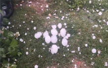 世界上最大的冰雹：长度达3米，宽度达2米，厚度达5米