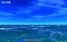 世界上最大的四大洋：太平洋、大西洋、北冰洋和印度洋