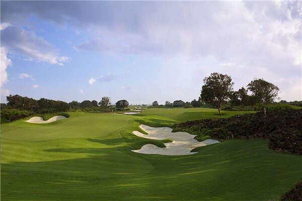世界上最大的高尔夫球场，深圳观澜湖高尔夫球场