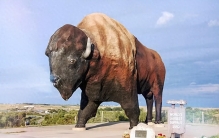 20张罕见的巨物照片：世界上最大的水牛，日本有一尊最大的观音像