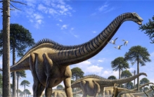 为什么蜥脚类恐龙会生长得如此之大（复杂的生物学机制）