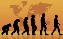 为什么如今还有那么多猿没进化成人类（地球环境一直在变）