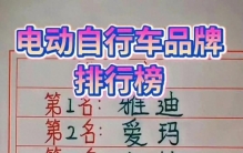 电动自行车品牌排行榜，对照看看，雅迪排第一。