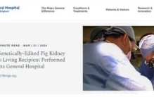 首例人类活体移植猪肾成功