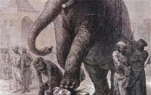 为什么说大象是古代最恐怖的刽子手（象刑）