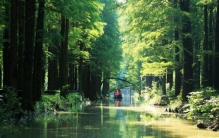 江苏泰州有什么好玩的地方？江苏泰州十大必玩景点