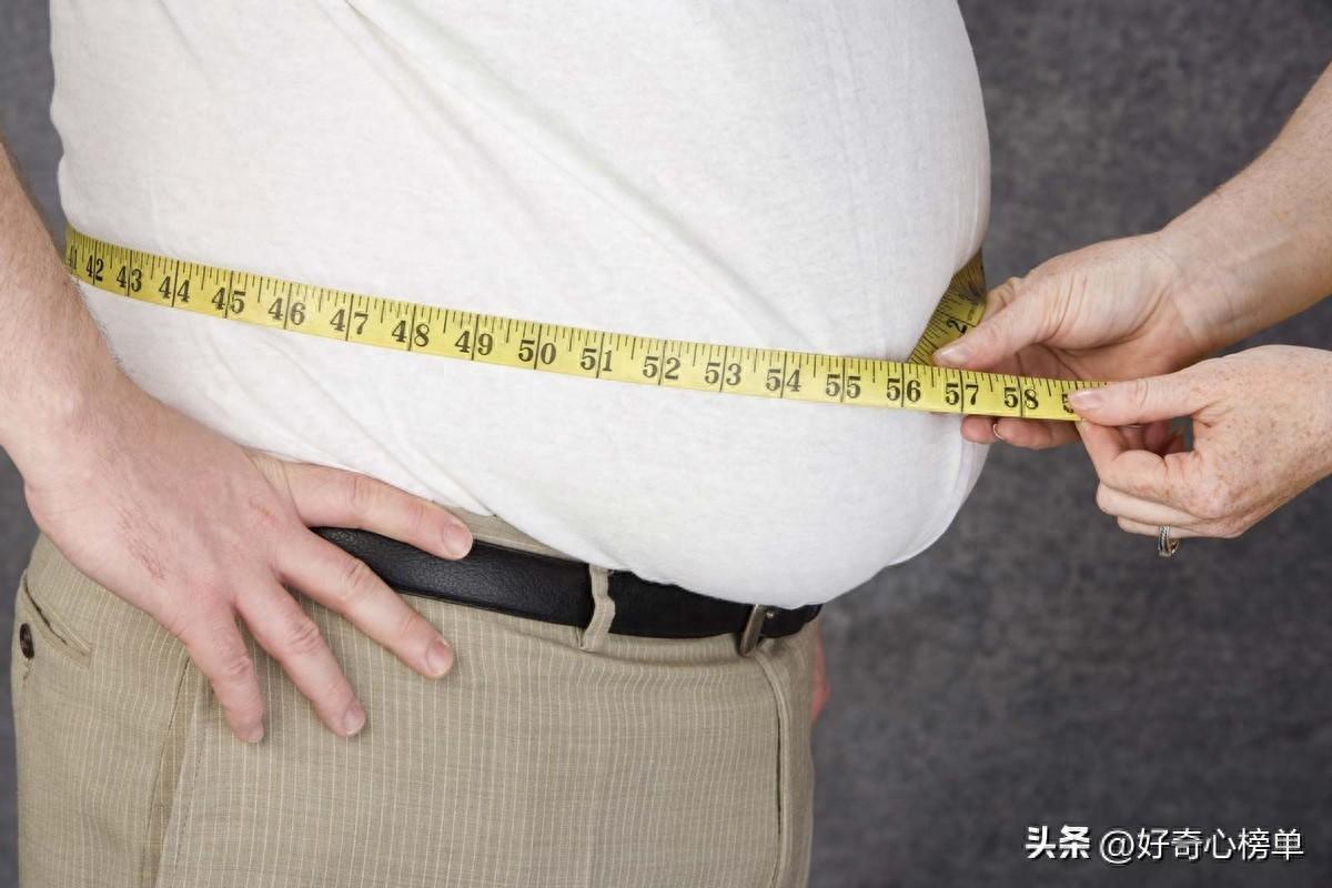 世界上肥胖率最高的 20个国家