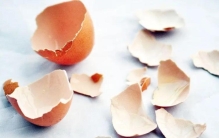 蛋壳从餐桌残余到高科技材料的绿色蜕变