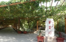 新疆必去的十大景点，新疆十大著名景点排行榜