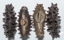 东北辽宁有什么特产？辽宁省特产十大代表排行榜